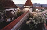 Kleinschenk in Siebenb�rgen