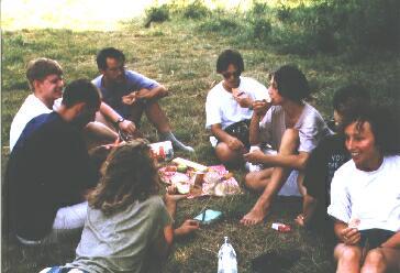 Picknick im Gr&uuml;nen